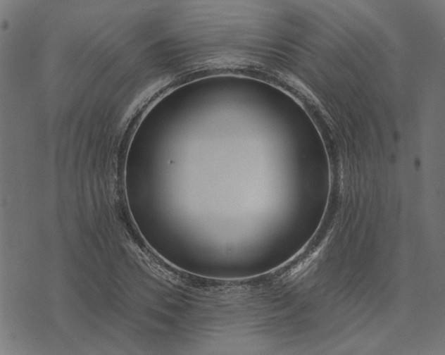 X0000073720930200608171159