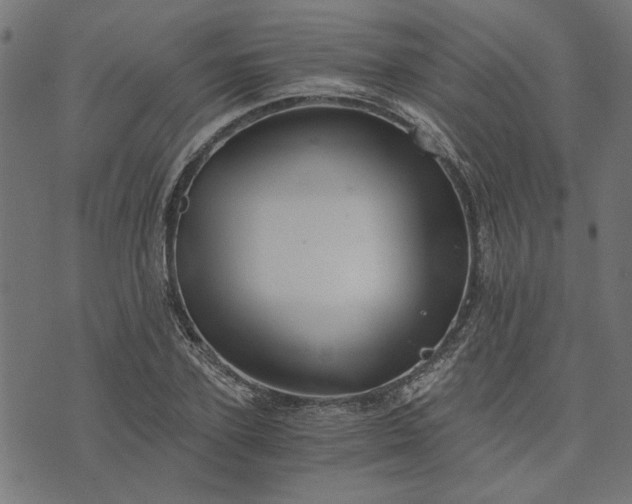 X0000073720931200608171159