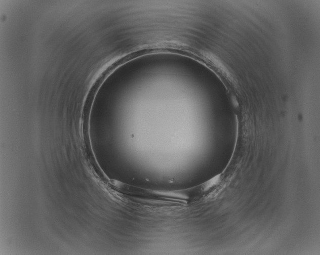 X0000073720932200608171159