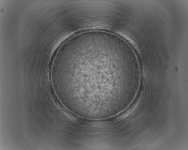 X0000073720933200608171159