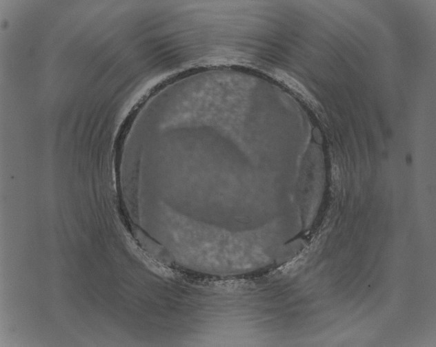 X0000073720934200608171200