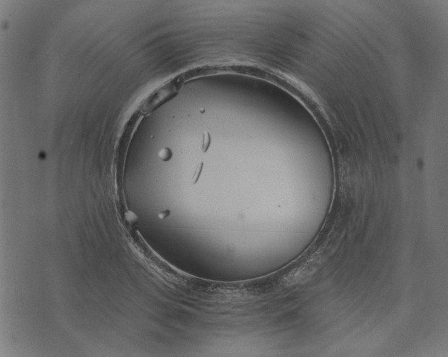 X0000073720935200608171200