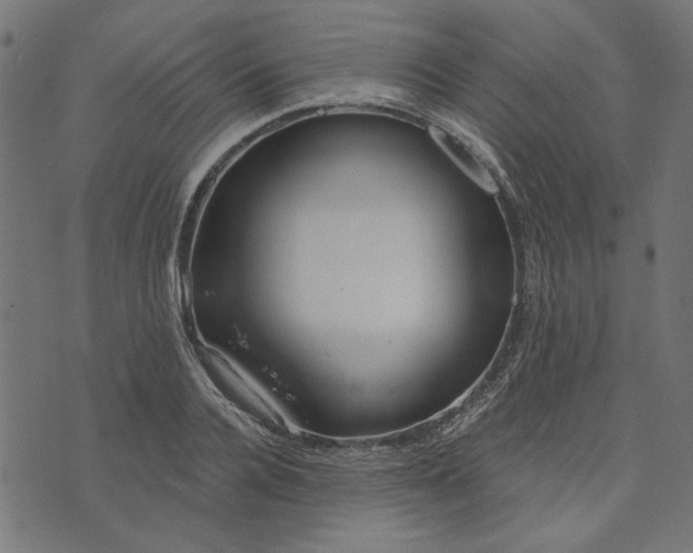 X0000073720936200608171200