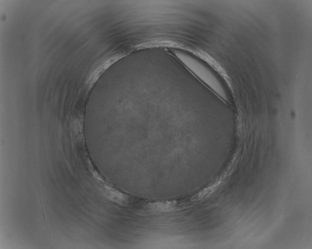 X0000073720937200608171200