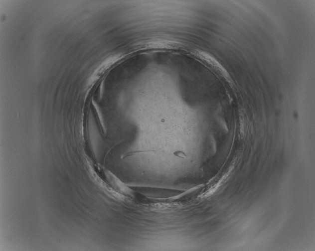 X0000073720938200608171200