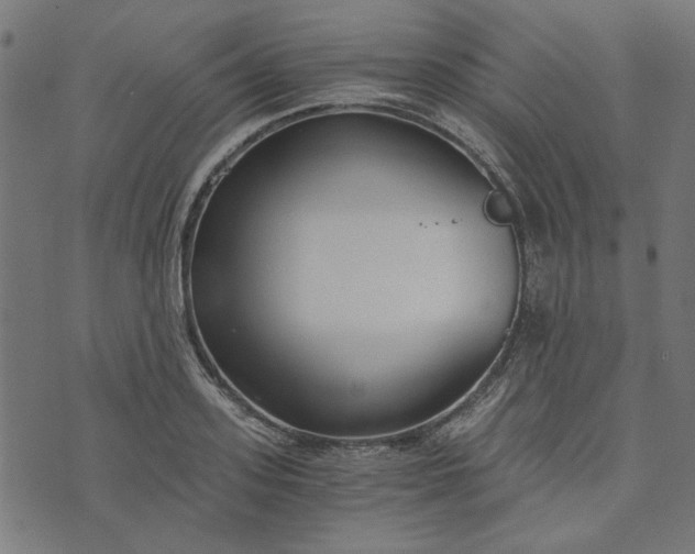 X0000073720939200608171200