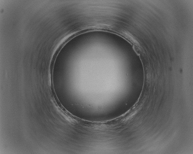 X0000073720940200608171200