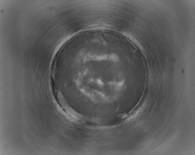 X0000073720941200608171200