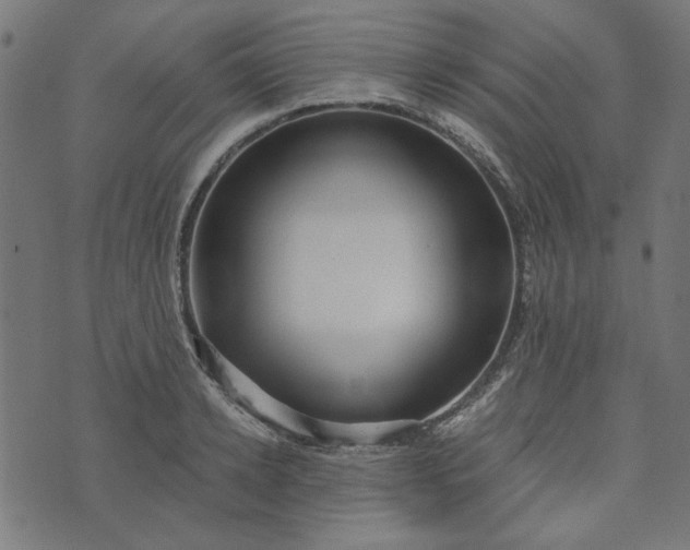 X0000073720942200608171200