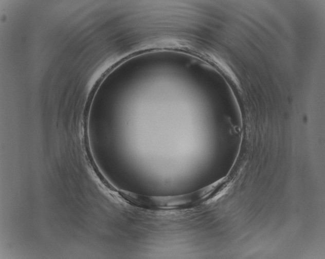 X0000073720944200608171200