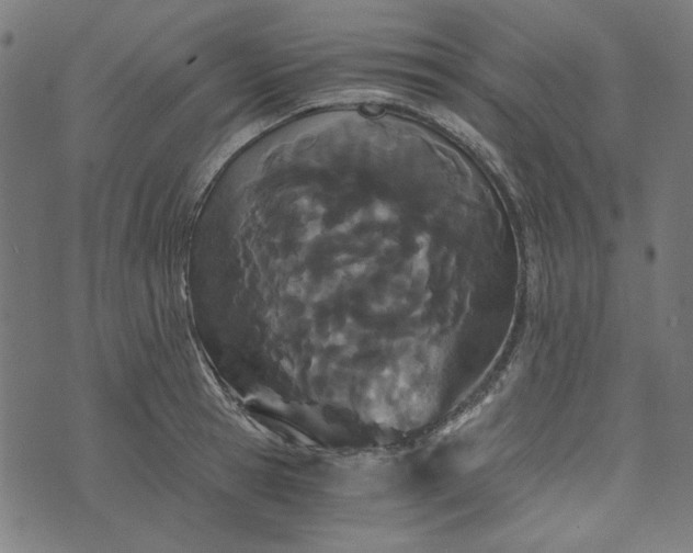 X0000073720945200608171200