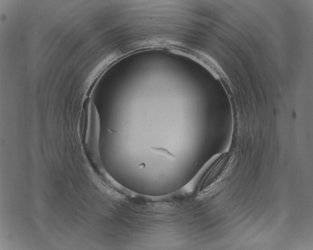 X0000073720946200608171200