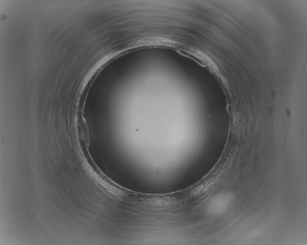 X0000073720947200608171200