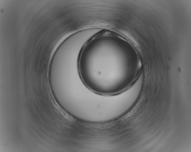 X0000073720948200608171200