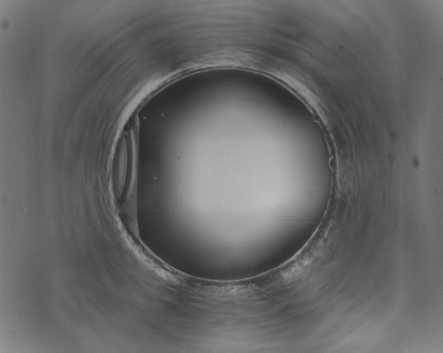 X0000073720949200608171200