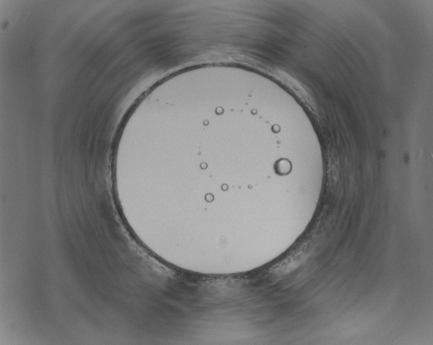 X0000073720950200608171200