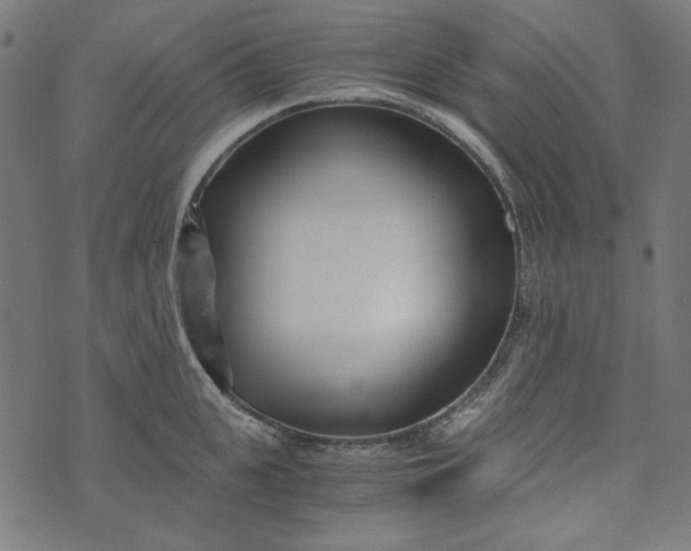 X0000073720951200608171200