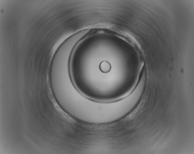 X0000073720952200608171200