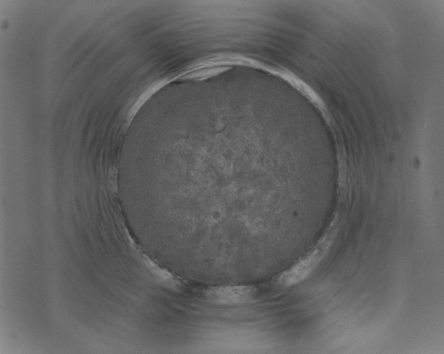 X0000073720953200608171200