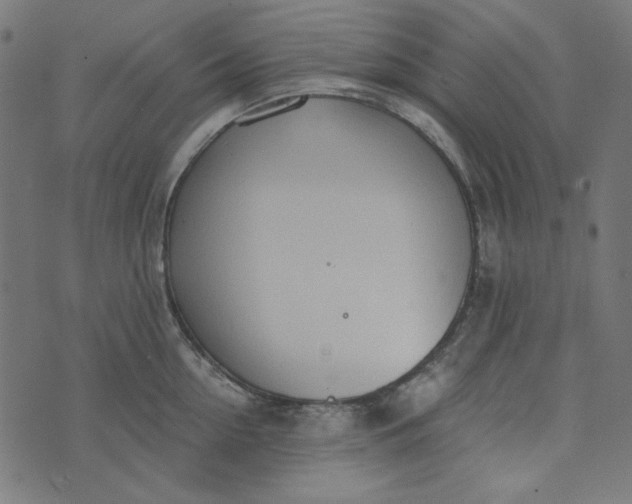 X0000073720954200608171200