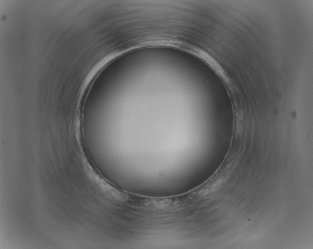 X0000073720955200608171200