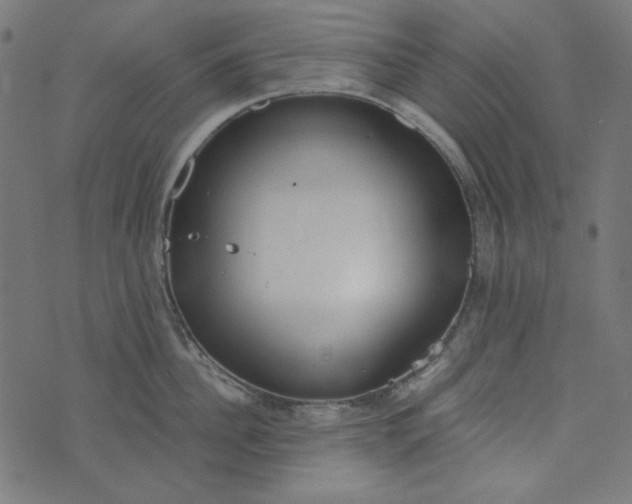 X0000073720956200608171200