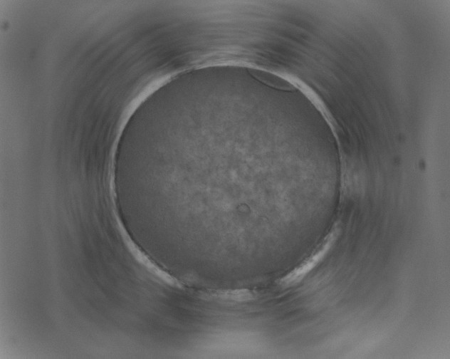 X0000073720957200608171200