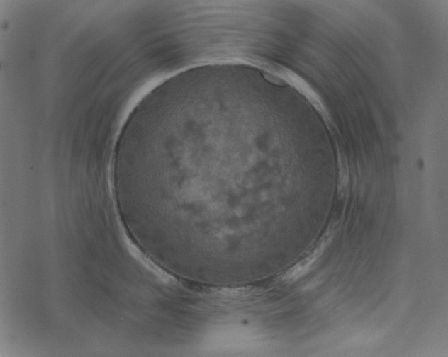 X0000073720958200608171200