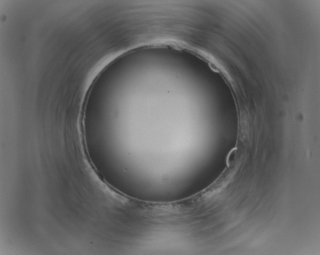 X0000073720959200608171200