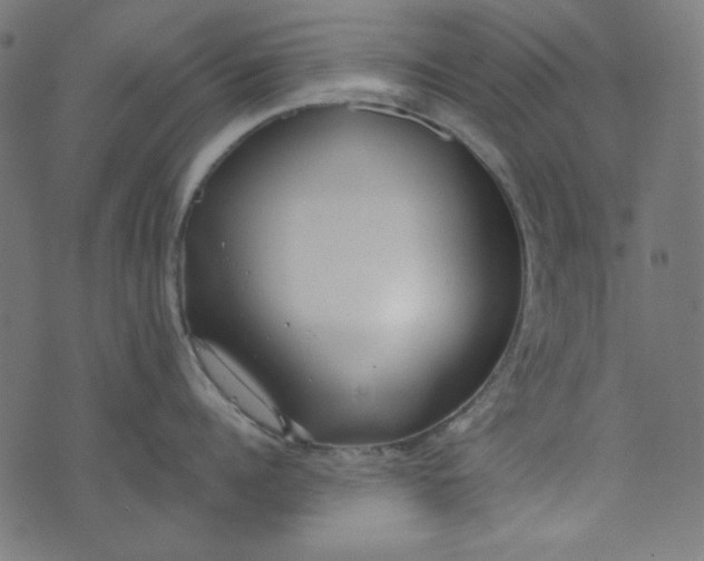 X0000073720960200608171200