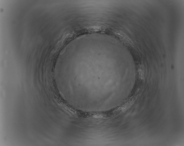 X0000073720961200608171159