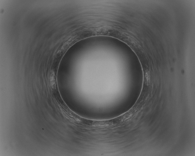 X0000073720963200608171159