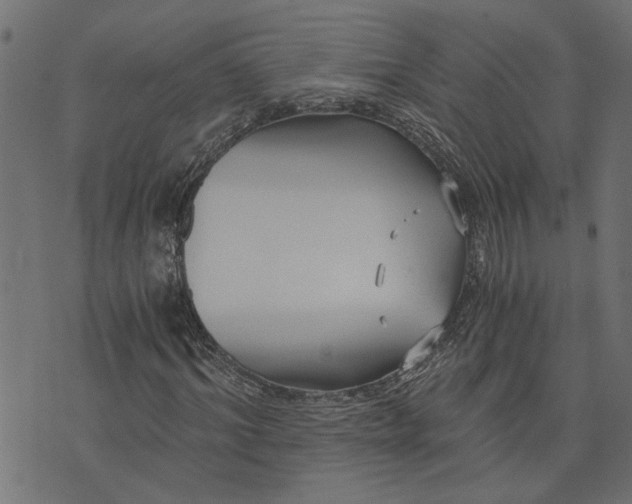 X0000073720964200608171159