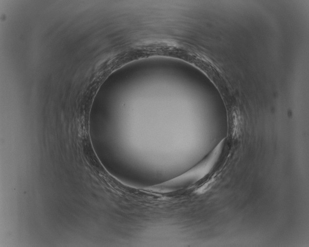 X0000073720965200608171159