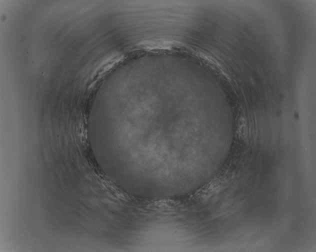 X0000073720966200608171159