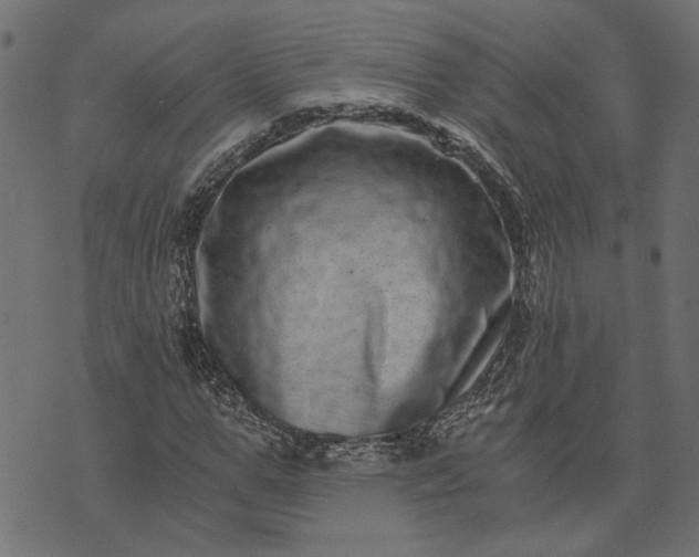 X0000073720967200608171159