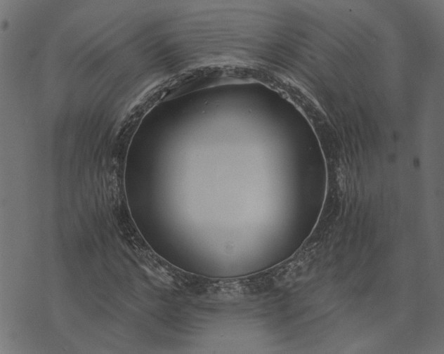 X0000073720968200608171159