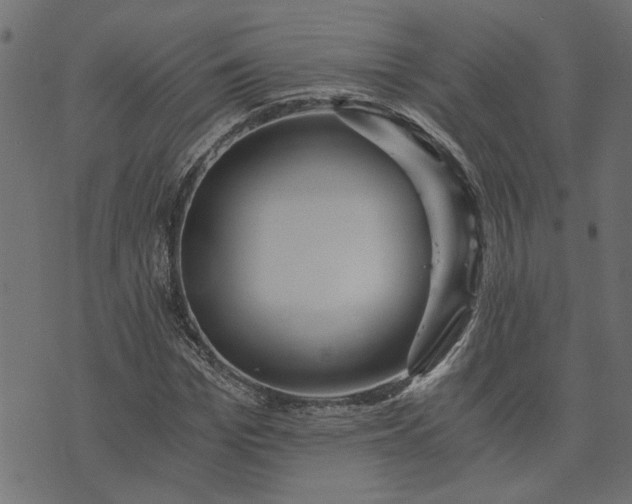 X0000073720969200608171159