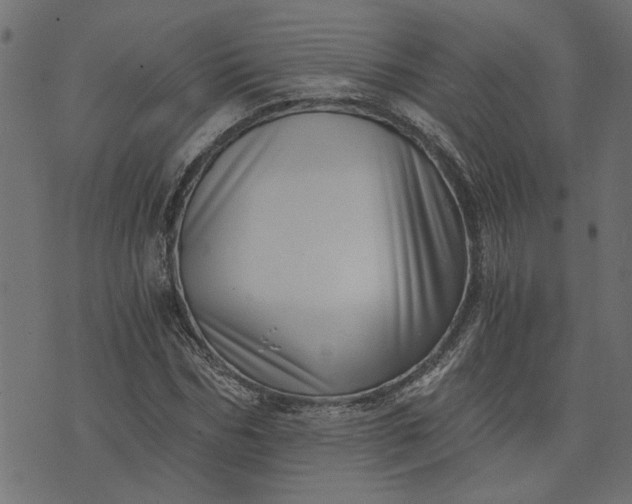 X0000073720970200608171159