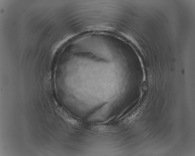 X0000073720971200608171159