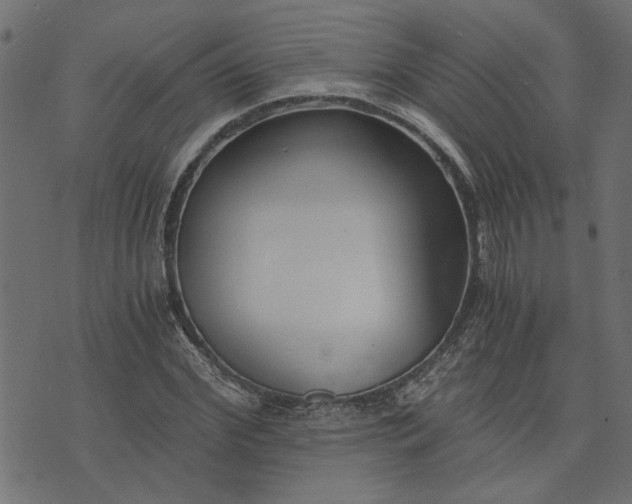 X0000073720972200608171159