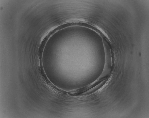 X0000073720973200608171159