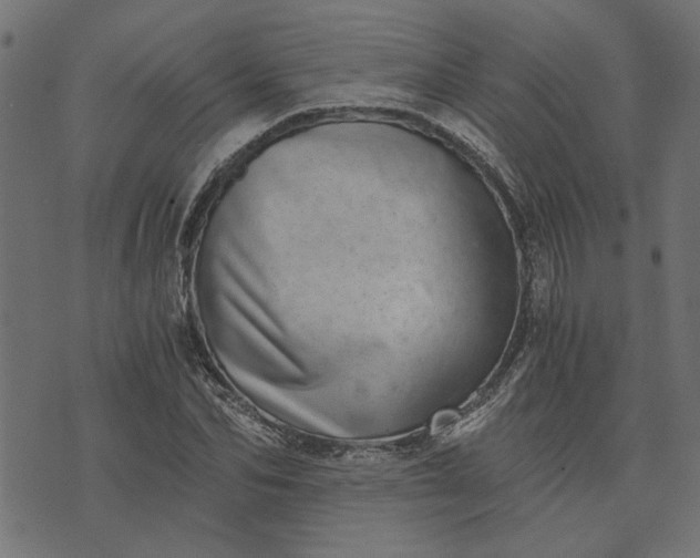 X0000073720974200608171159