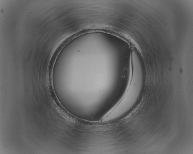 X0000073720976200608171159