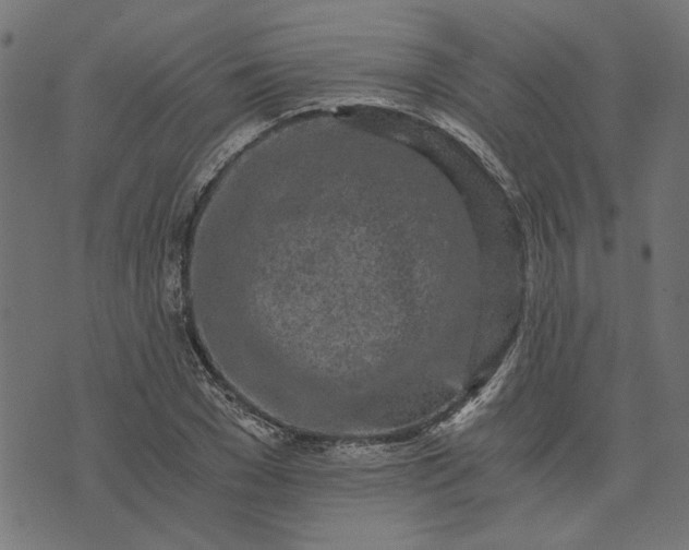 X0000073720977200608171159