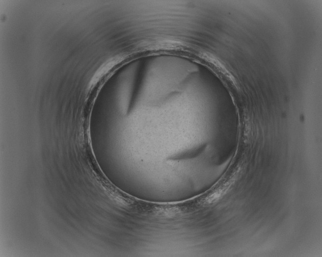 X0000073720978200608171159