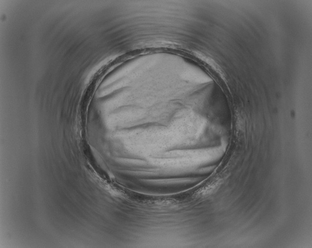 X0000073720979200608171159