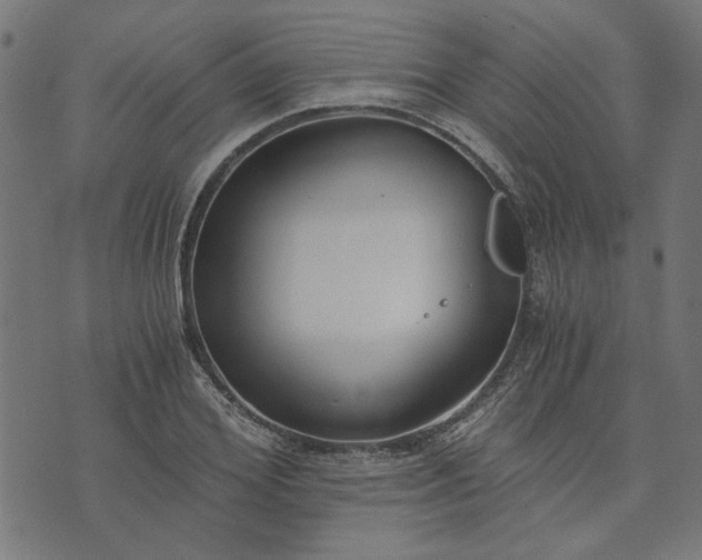 X0000073720980200608171159