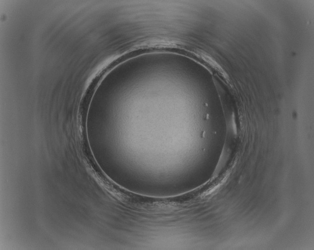 X0000073720981200608171159