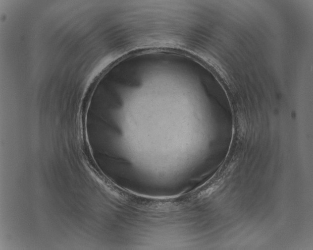 X0000073720982200608171159